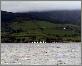 Auf dem Lough Derg